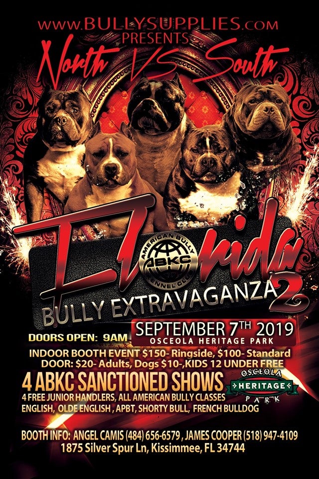 American bully show sales 2019